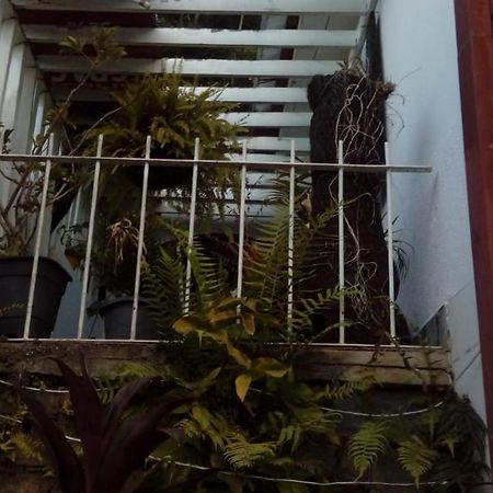 Hostel Mdemarilia Nova Friburgo Dış mekan fotoğraf